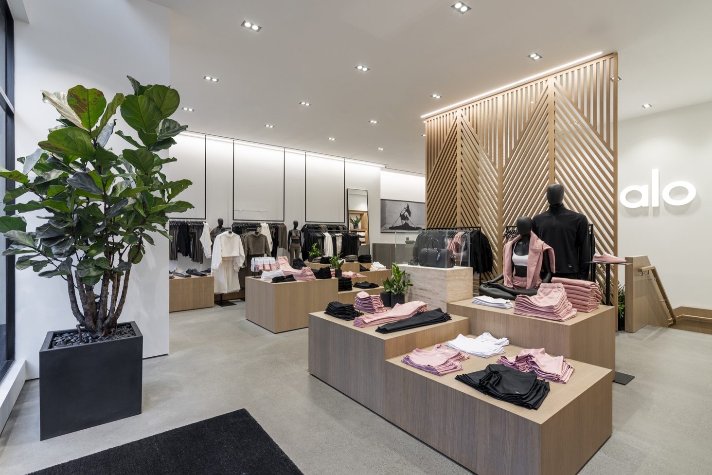 Store interior with timber display plinths, a slatted oak feature wall and an illuminated brand sign